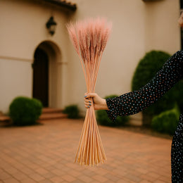 Natural Wheat Grass - Tinted Pink